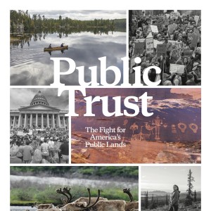 Zaufanie publiczne